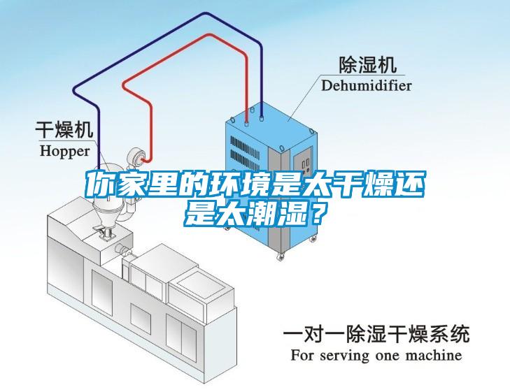 你家里的环境是太干燥还是太潮湿？