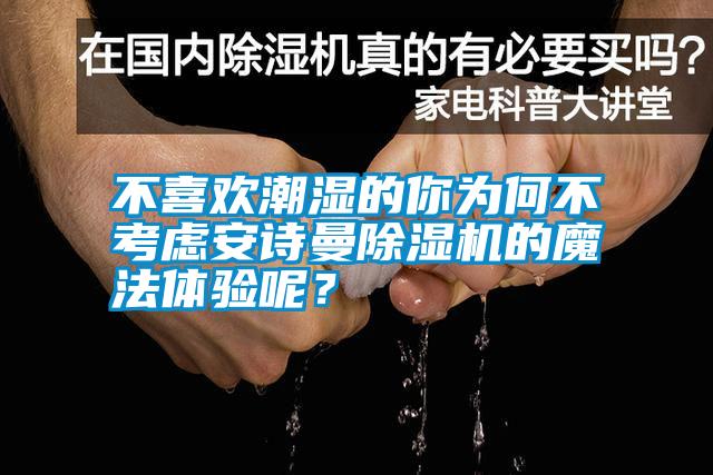 不喜欢潮湿的你为何不考虑安诗曼除湿机的魔法体验呢？