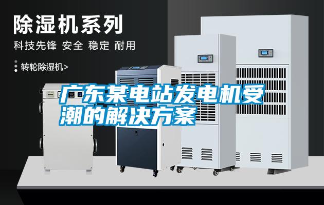 广东某电站发电机受潮的解决方案