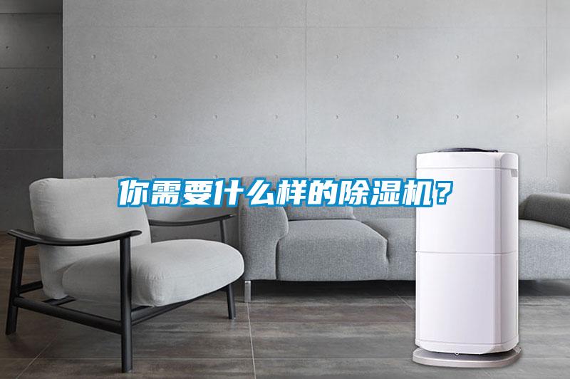 你需要什么样的除湿机？