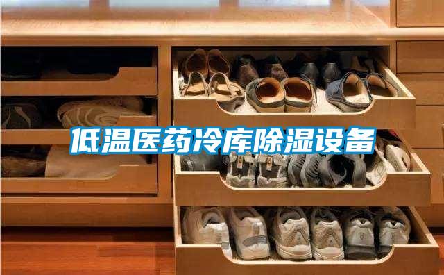 低温医药冷库除湿设备