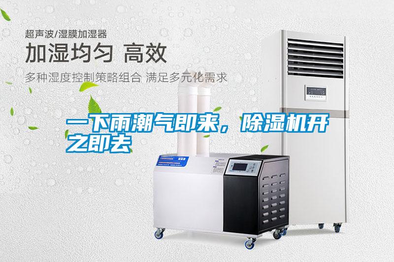 一下雨潮气即来，除湿机开之即去