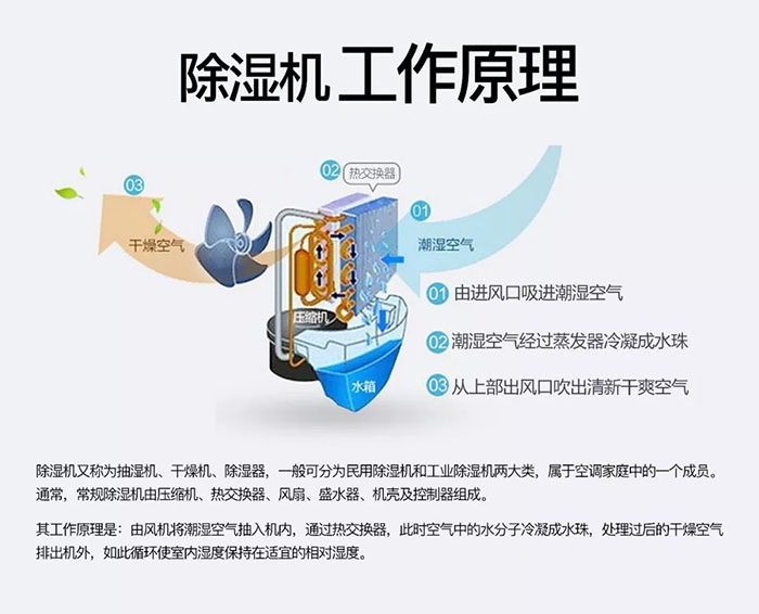 对抗梅雨天，绝不认输！