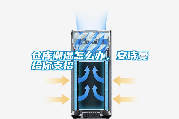仓库潮湿怎么办，安诗曼给你支招
