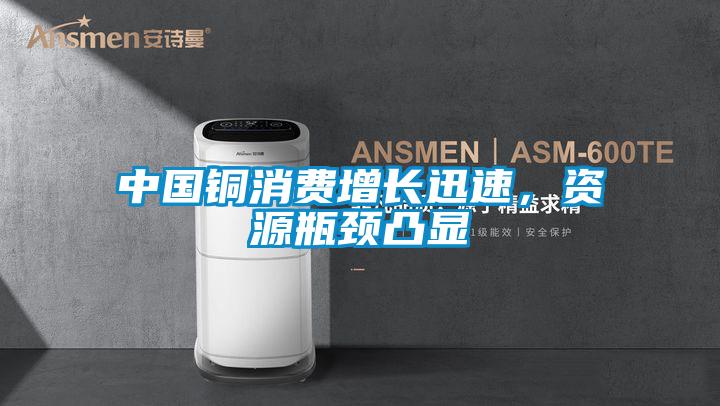 中国铜消费增长迅速，资源瓶颈凸显