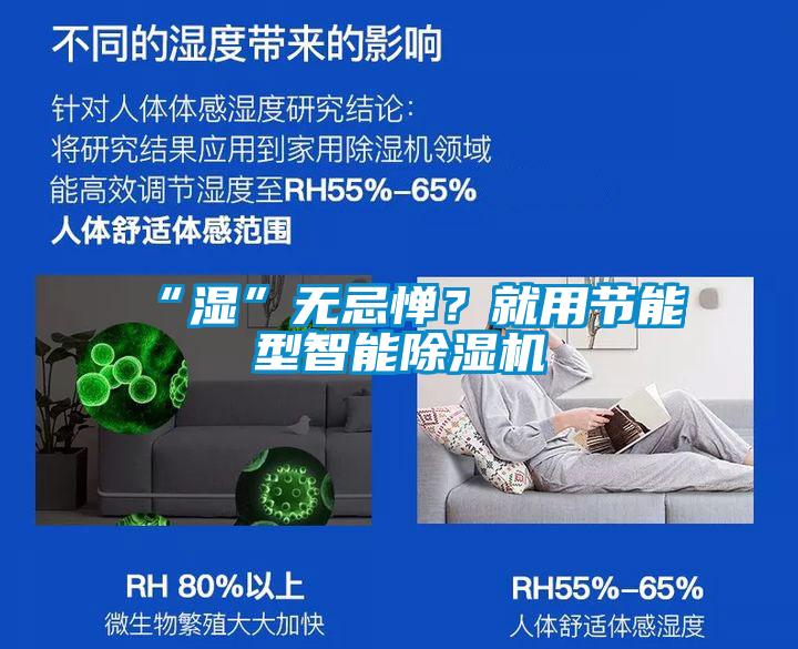 “湿”无忌惮？就用节能型智能除湿机