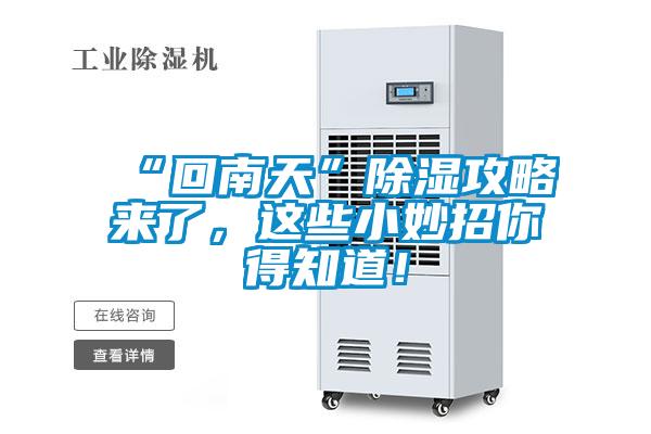 “回南天”除湿攻略来了，这些小妙招你得知道！