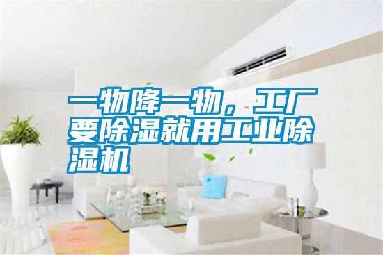 一物降一物，工厂要除湿就用工业除湿机