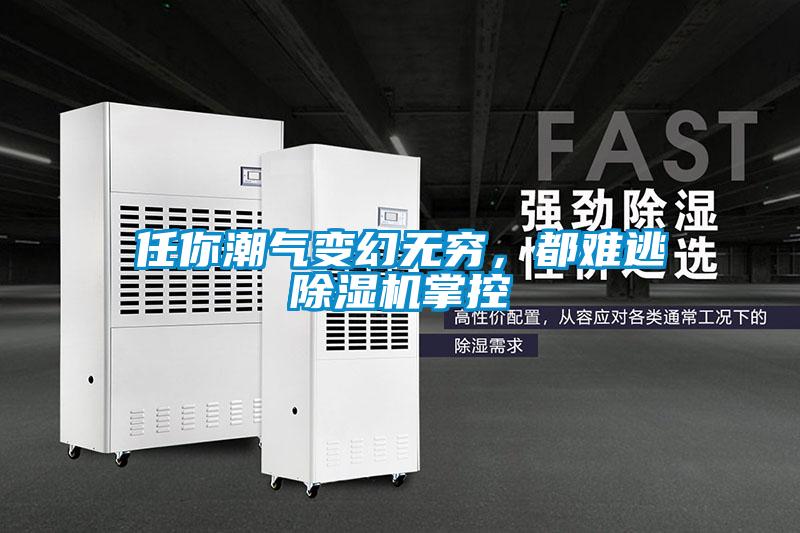 任你潮气变幻无穷，都难逃除湿机掌控
