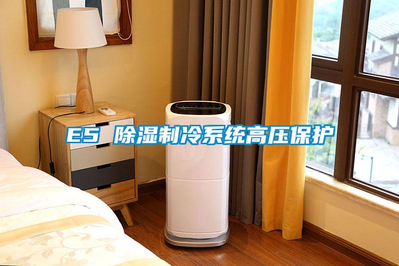 E5 除湿制冷系统高压?；?/></p>
						    <p style=