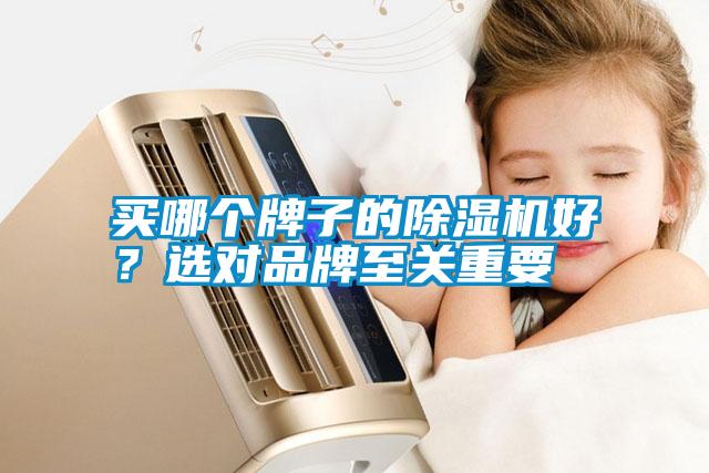 买哪个牌子的除湿机好？选对品牌至关重要