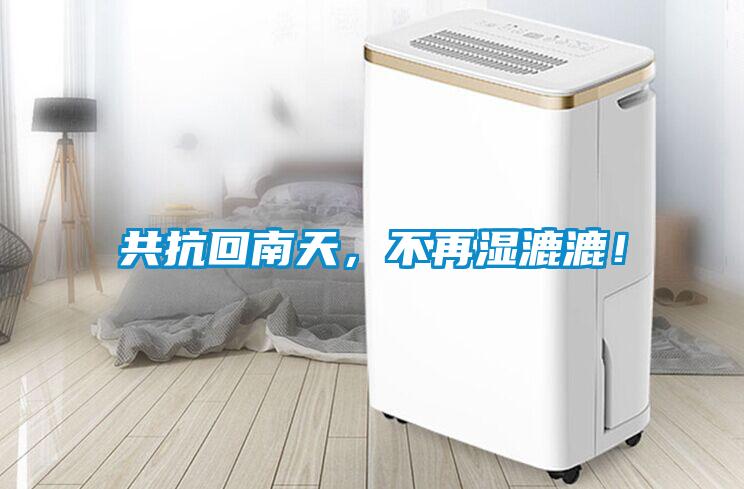 共抗回南天，不再湿漉漉！