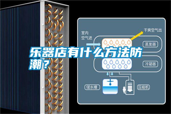 乐器店有什么方法防潮？