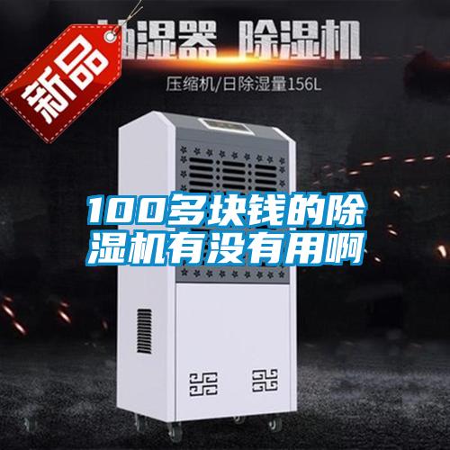 100多块钱的除湿机有没有用啊