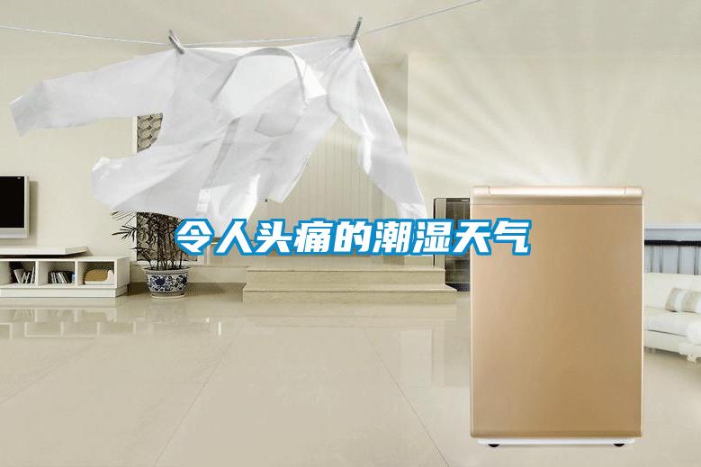 令人头痛的潮湿天气