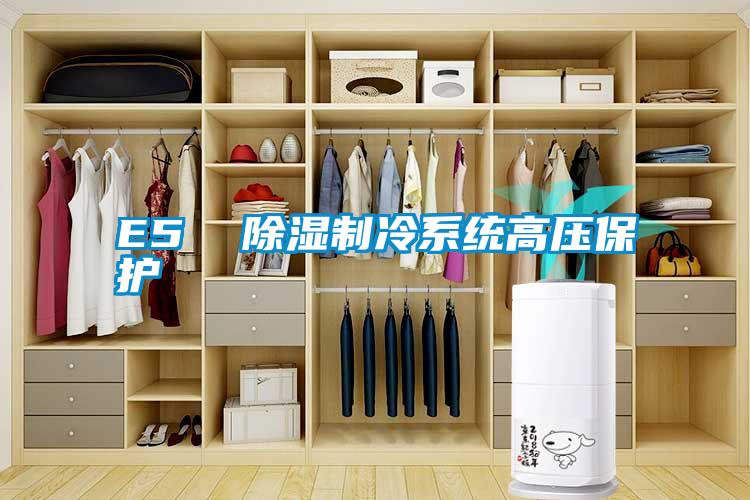 E5  除湿制冷系统高压?；?/></p>
						    <p style=