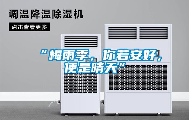 “梅雨季，你若安好，便是晴天”