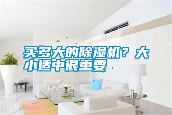 买多大的除湿机？大小适中很重要