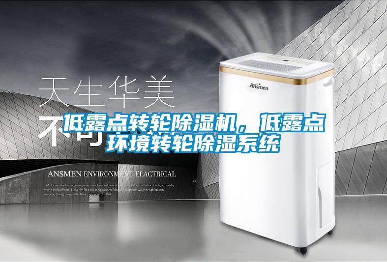 低露点转轮除湿机，低露点环境转轮除湿系统