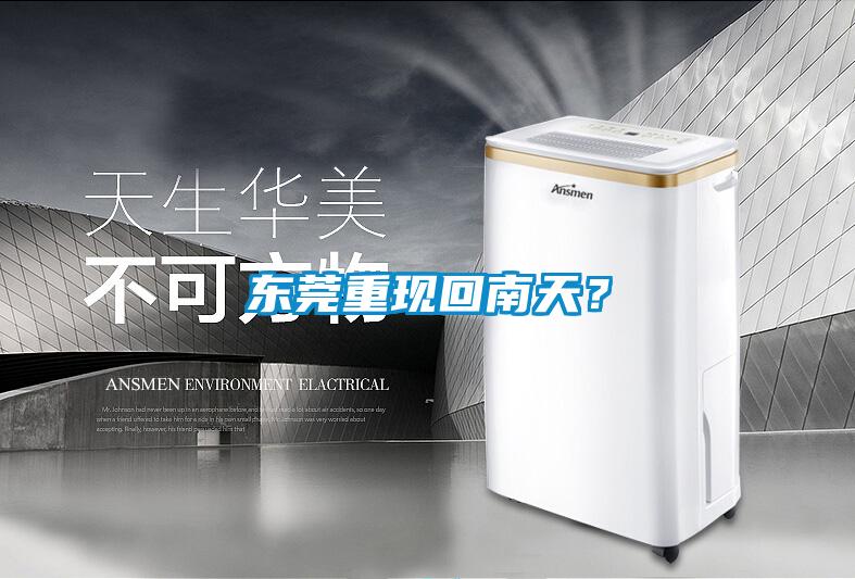 东莞重现回南天？