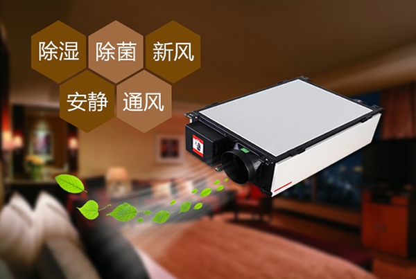 为什么冷库除湿机会出现结霜的情况？