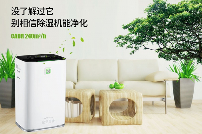 一到回南天狗狗就感冒+皮肤病，怎么办？