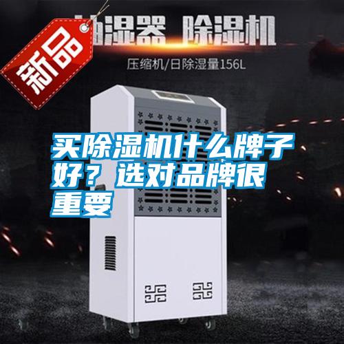 买除湿机什么牌子好？选对品牌很重要