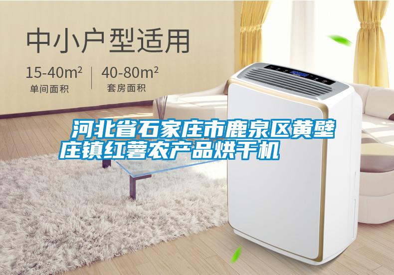 ?河北省石家庄市鹿泉区黄壁庄镇红薯农产品烘干机