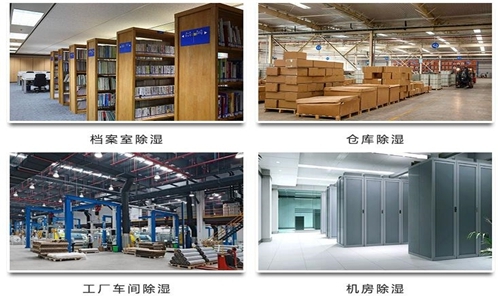 为什么竹笋烘干房需要除湿机？