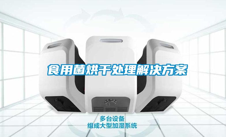  食用菌烘干处理解决方案