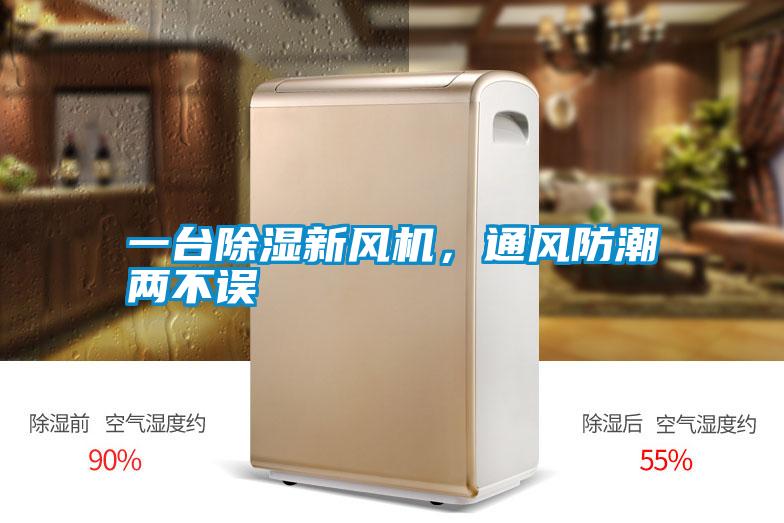 一台除湿新风机，通风防潮两不误