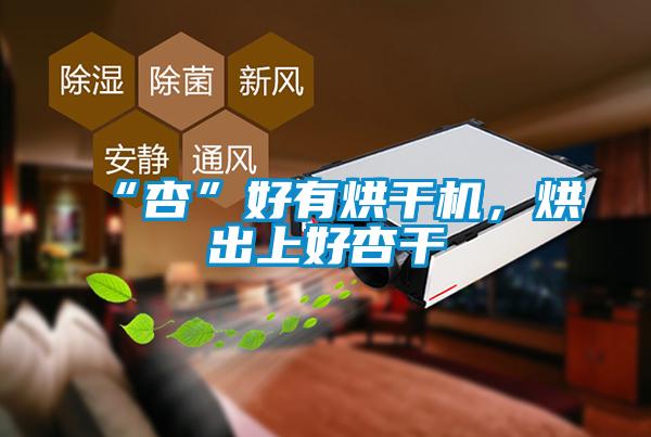 “杏”好有烘干机，烘出上好杏干