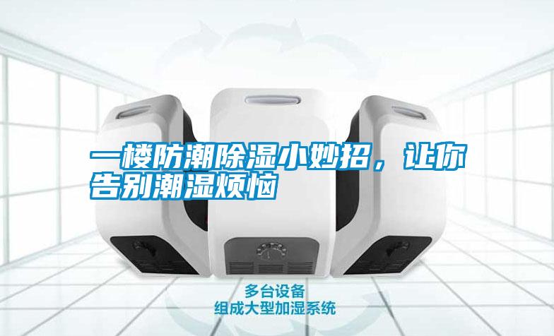 一楼防潮除湿小妙招，让你告别潮湿烦恼