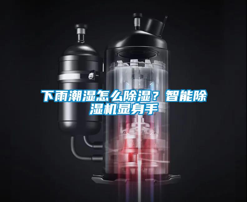 下雨潮湿怎么除湿？智能除湿机显身手