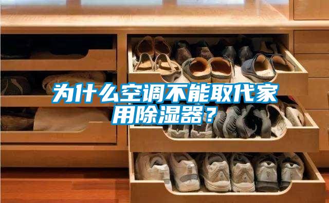 为什么空调不能取代家用除湿器？