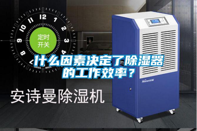 什么因素决定了除湿器的工作效率？