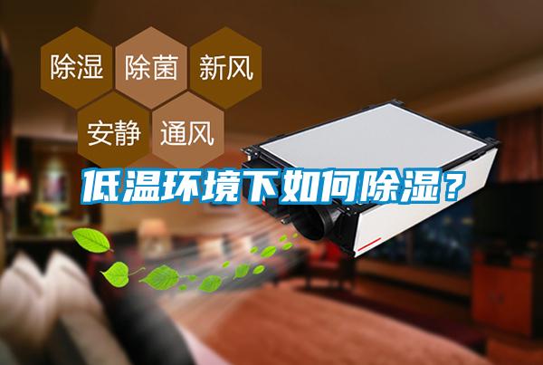 低温环境下如何除湿？