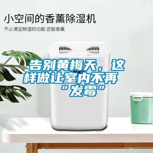 告别黄梅天，这样做让室内不再“发霉”