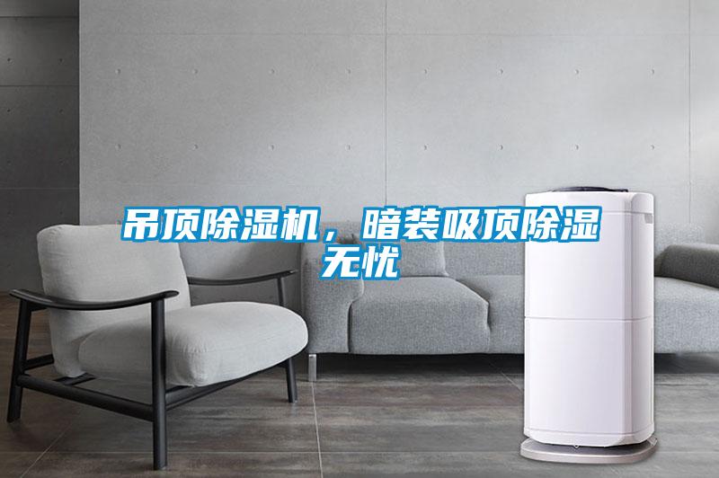 吊顶除湿机，暗装吸顶除湿无忧