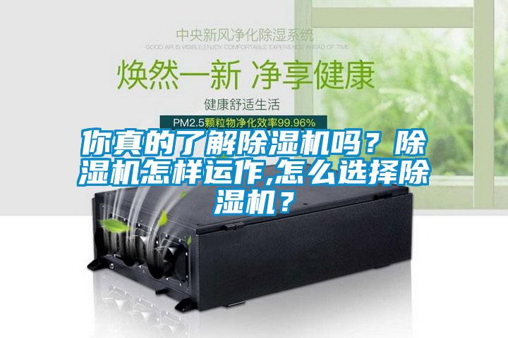 你真的了解除湿机吗？除湿机怎样运作,怎么选择除湿机？