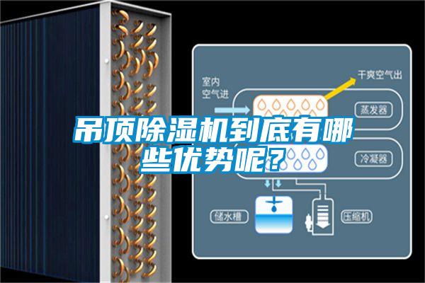 吊顶除湿机到底有哪些优势呢？
