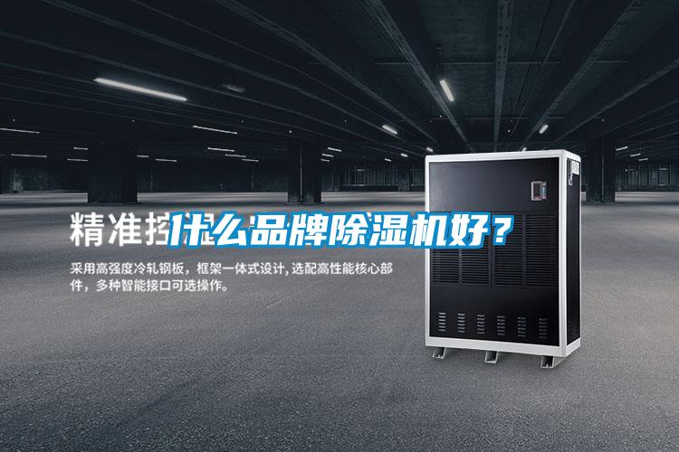 什么品牌除湿机好？