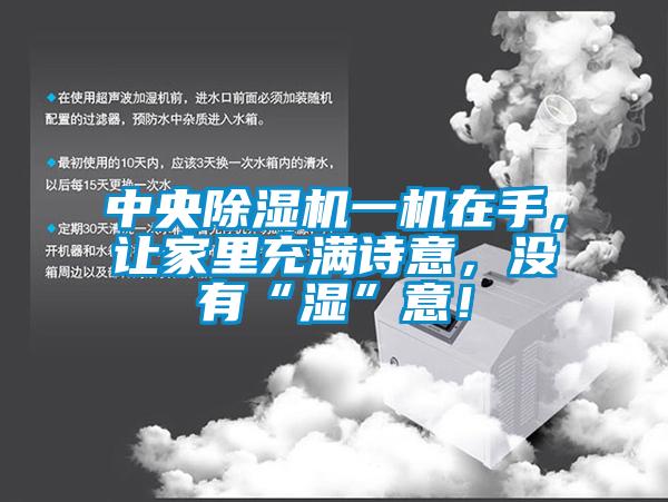中央除湿机一机在手，让家里充满诗意，没有“湿”意！