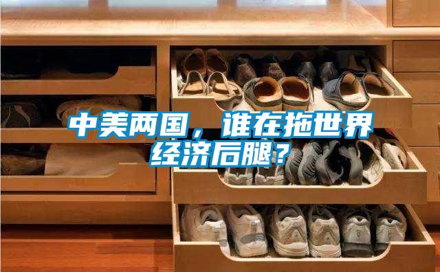 中美两国，谁在拖世界经济后腿？