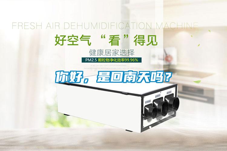 你好，是回南天吗？