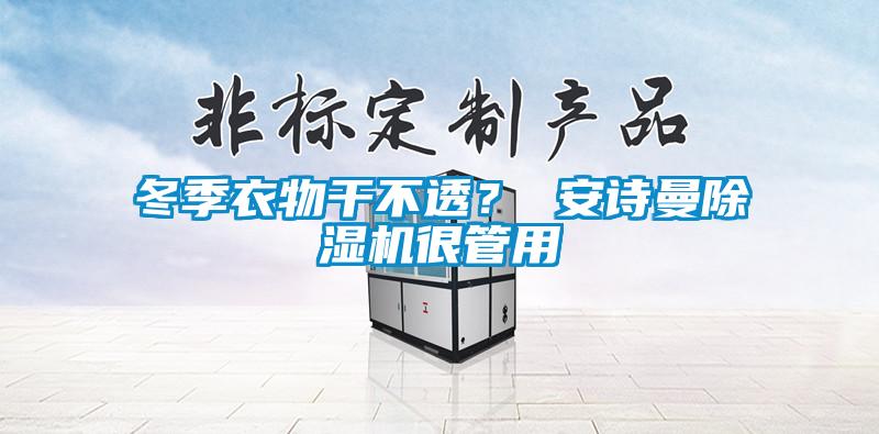 冬季衣物干不透？ 安诗曼除湿机很管用