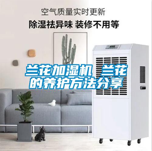 兰花加湿机 兰花的养护方法分享