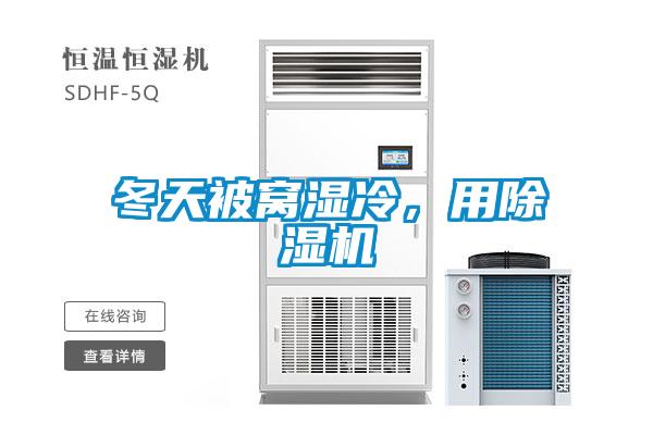 冬天被窝湿冷，用除湿机