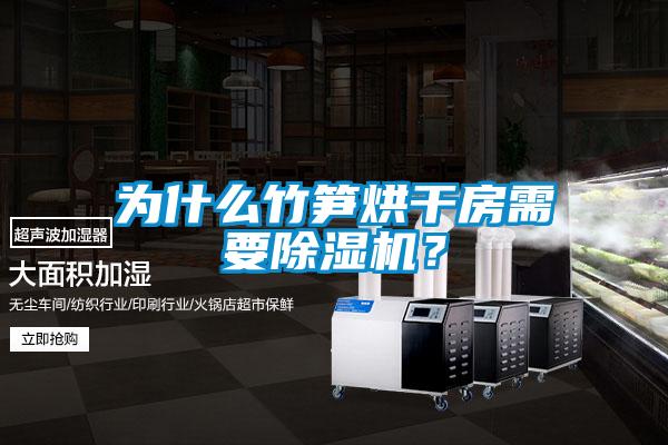 为什么竹笋烘干房需要除湿机？