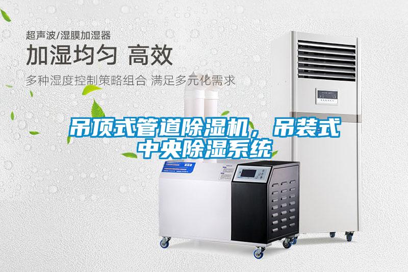 吊顶式管道除湿机，吊装式中央除湿系统